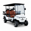6-Seater Electric Golf Cart
