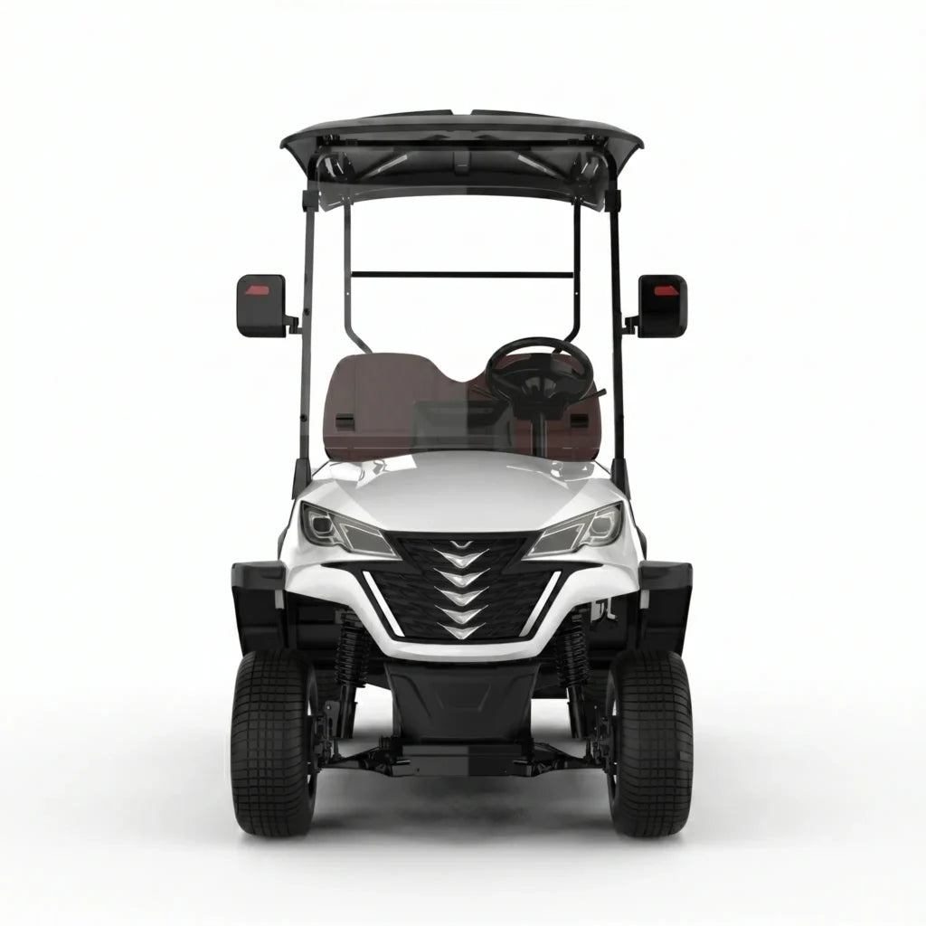 LSV Series – 2 to 8-Seat Electric Golf Carts UAE – view 2