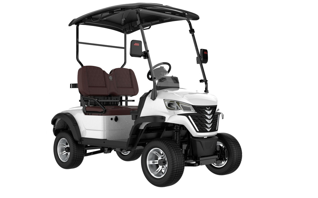 LSV Series – 2 to 8-Seat Electric Golf Carts UAE – view 3