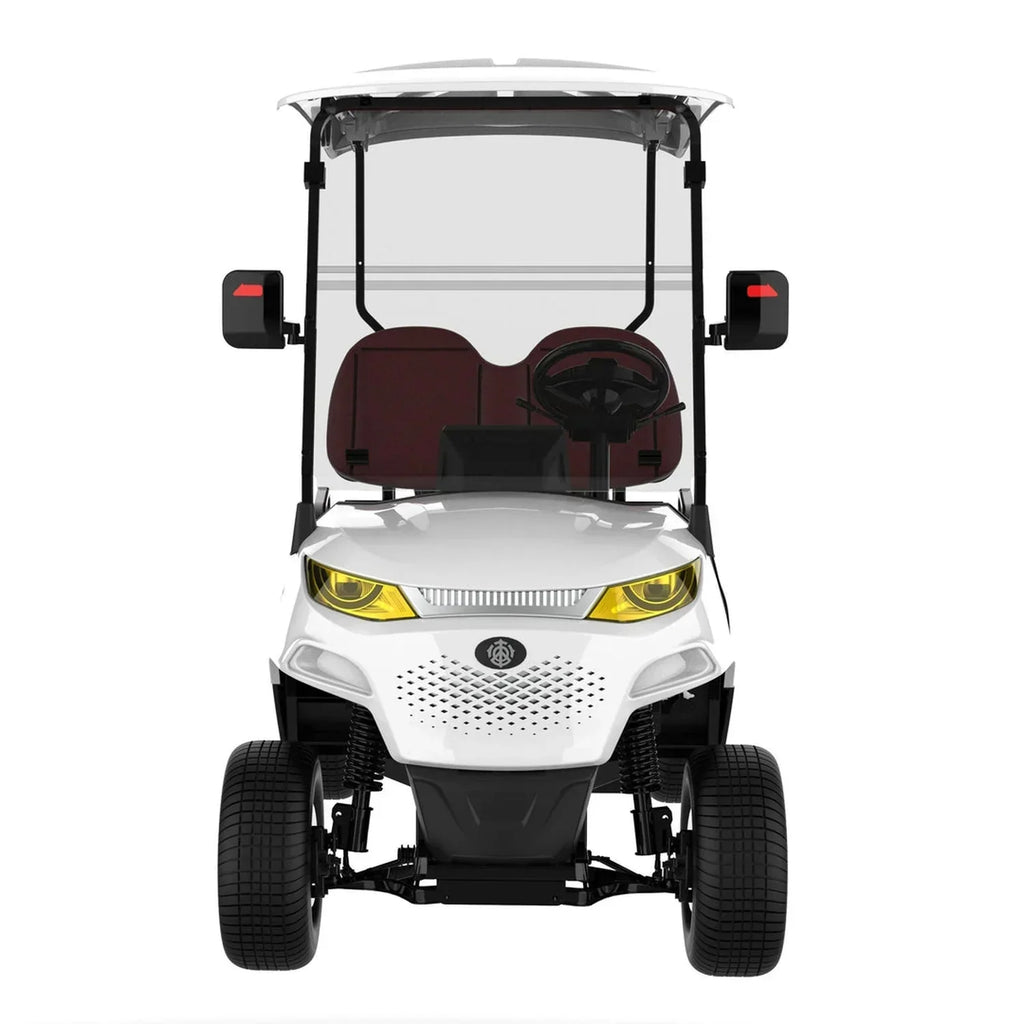 2-Seater Electric Golf Cart